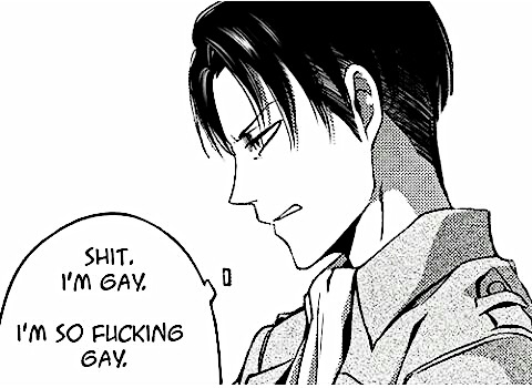 Levi Is Gay 95