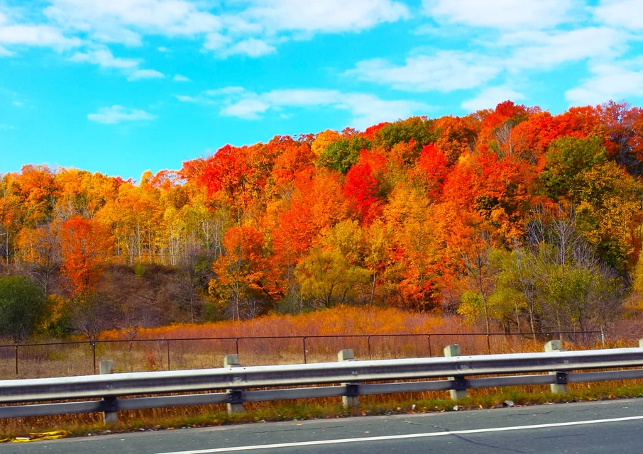 The Dvp Don Valley Image By Naomi Armendariz