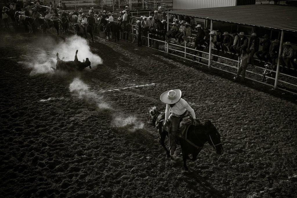 Mexican Charreada Rodeo